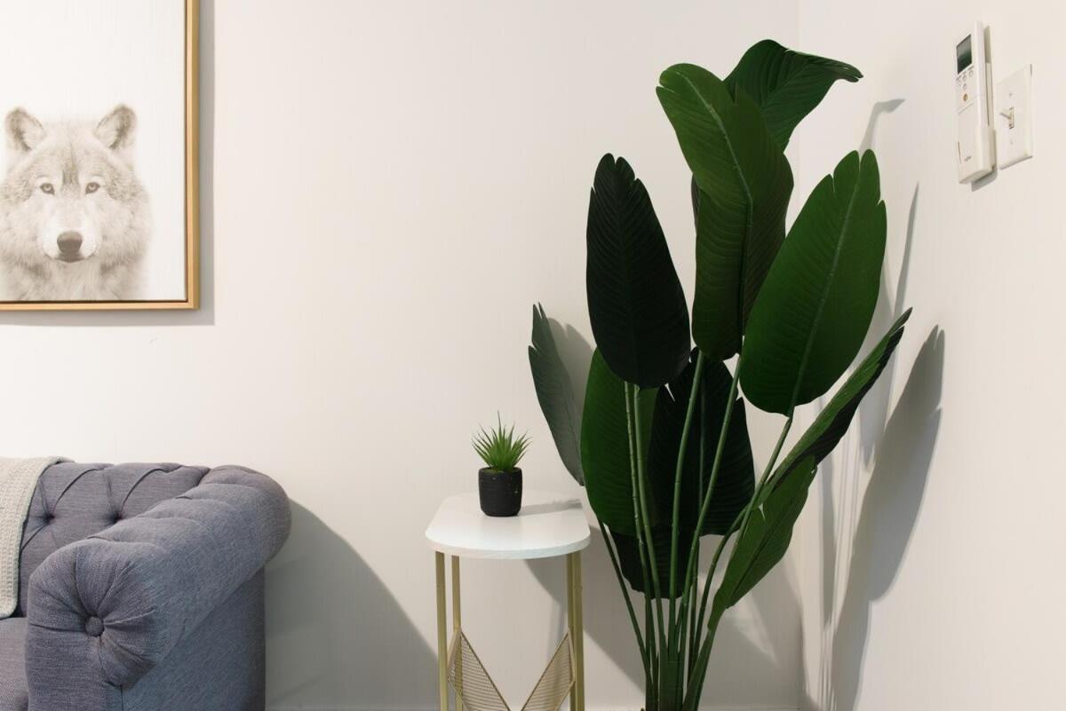 Apartamento 39-1 Renovated 3br *
